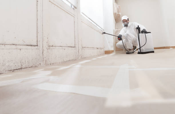24/7 Emergency Black Mold Remediation experts in Kinzers, PA